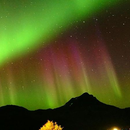 Norwegian Dream Apartment Gratangen Bagian luar foto