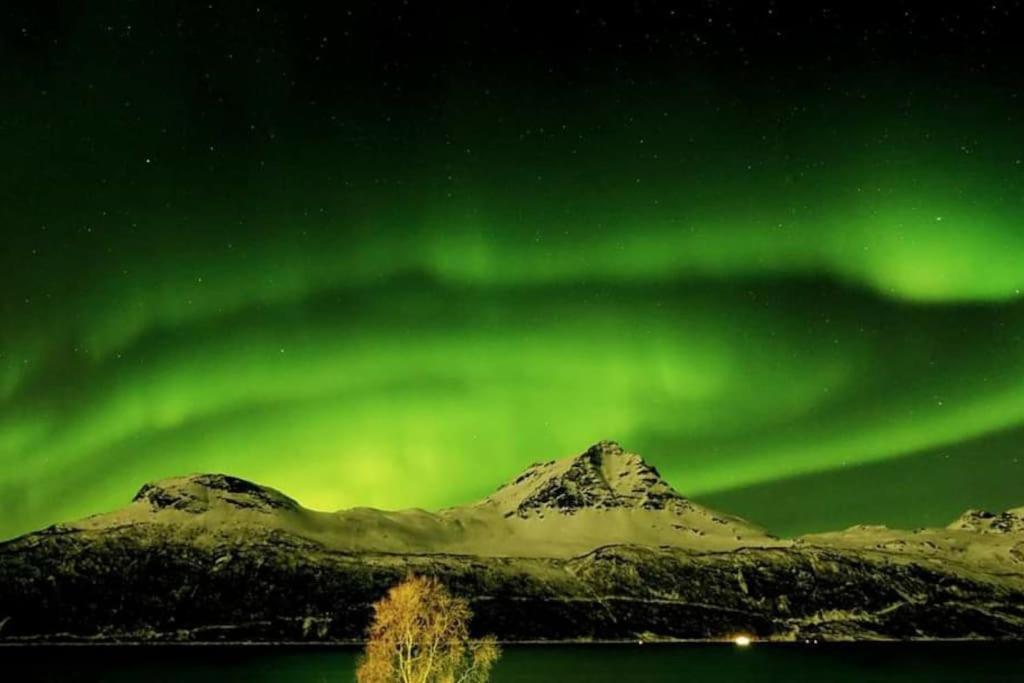 Norwegian Dream Apartment Gratangen Bagian luar foto