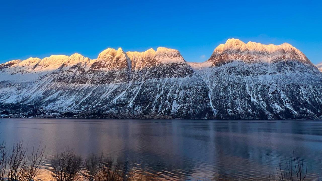 Norwegian Dream Apartment Gratangen Bagian luar foto