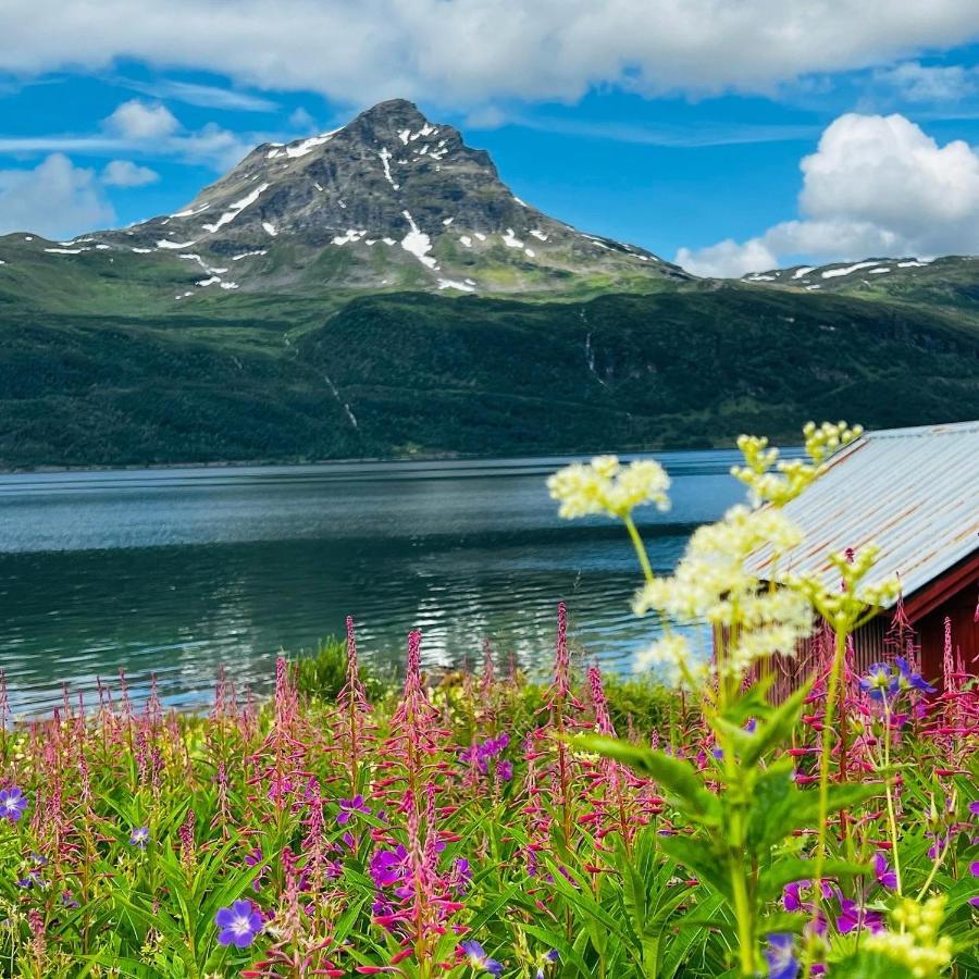 Norwegian Dream Apartment Gratangen Bagian luar foto