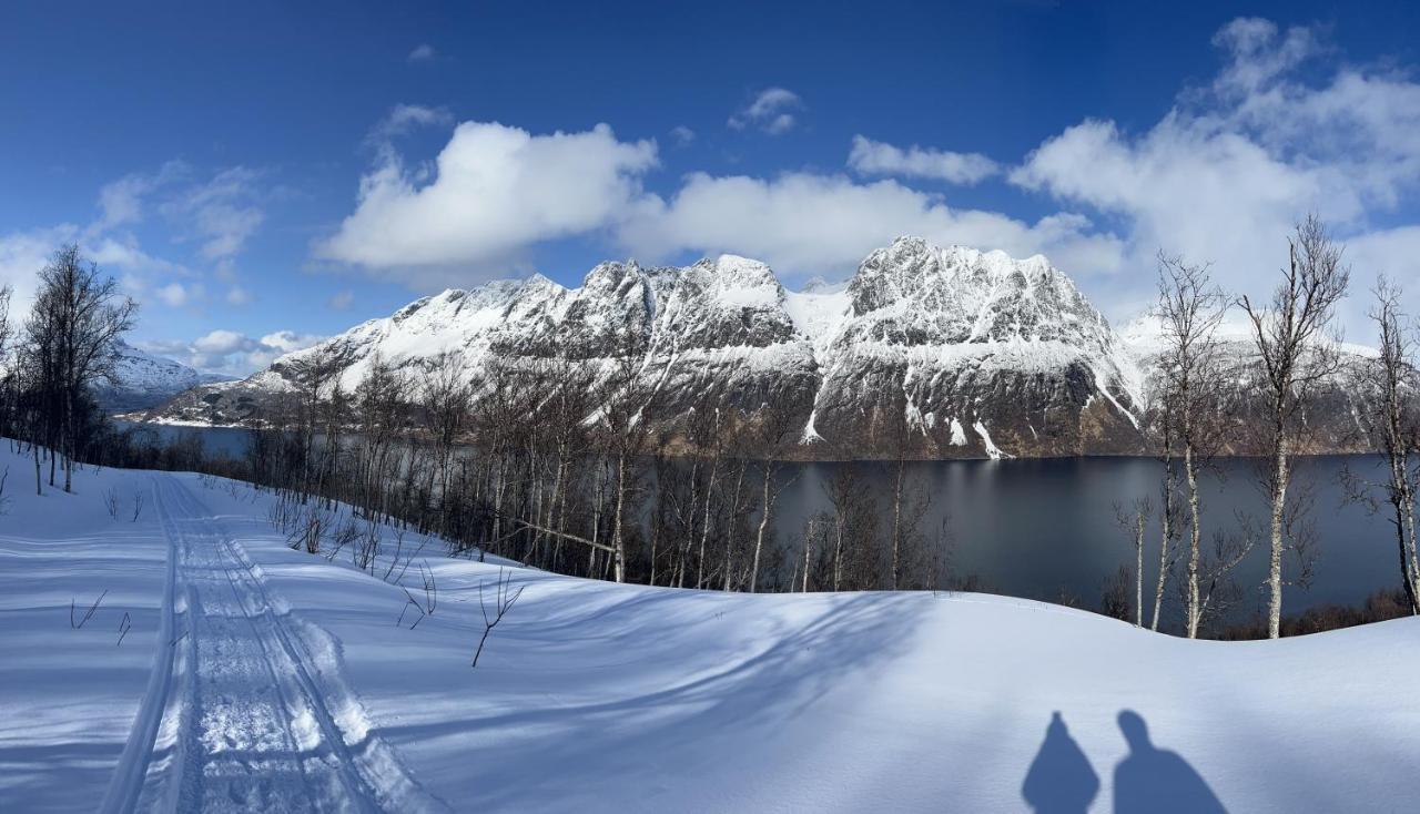 Norwegian Dream Apartment Gratangen Bagian luar foto