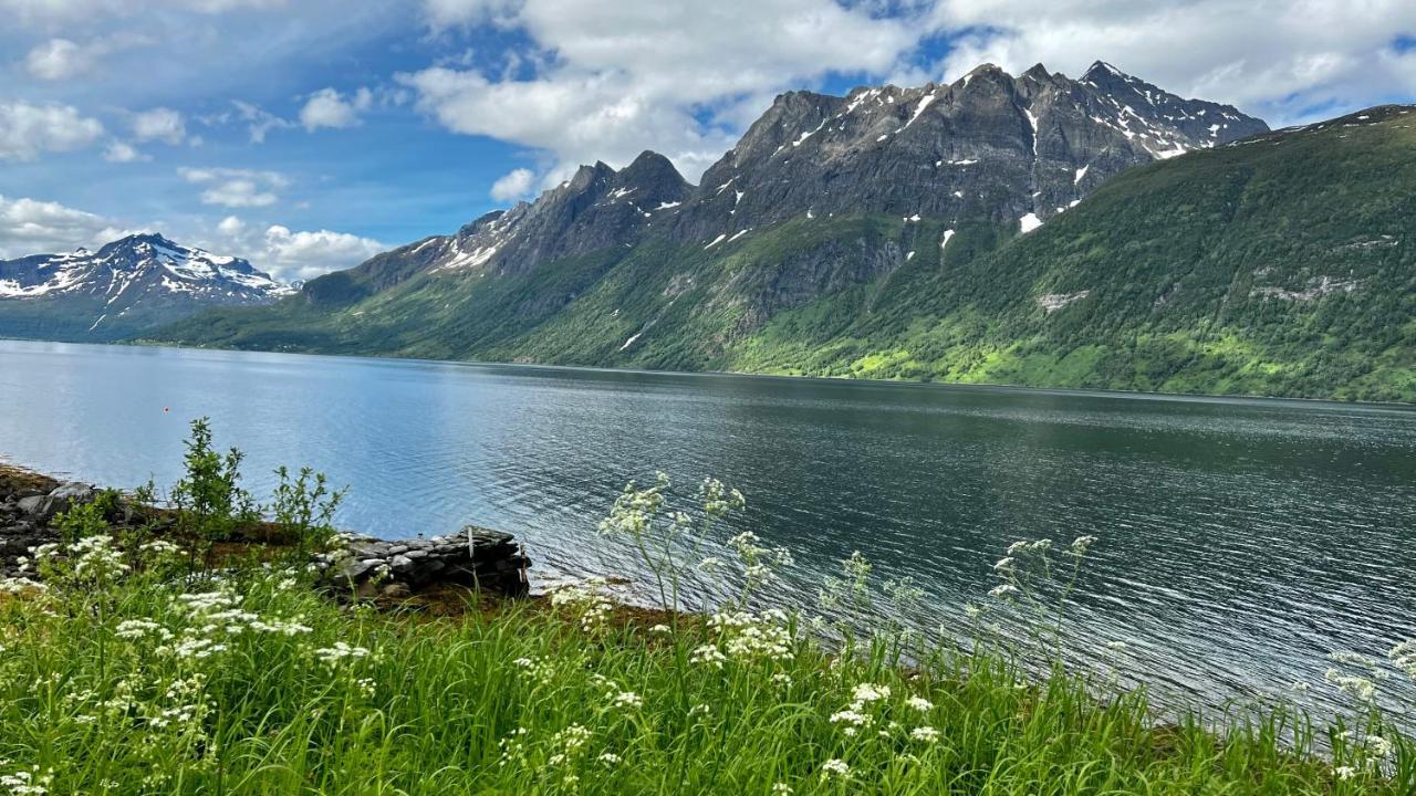 Norwegian Dream Apartment Gratangen Bagian luar foto